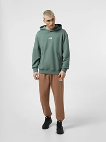 Брюки The North Face Simple Dome Light Regular Tapered модель NF0A8C416IH1 Фото