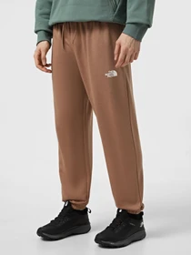 Брюки The North Face Simple Dome Light Regular Tapered модель NF0A8C416IH1 Фото