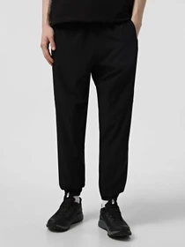 Брюки The North Face Ma Wind модель NF0A8BGNJK31 Фото