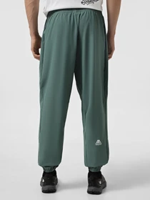 Брюки The North Face Ma Wind модель NF0A8BGNHCH1 Фото