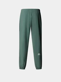 Брюки The North Face Ma Wind модель NF0A8BGNHCH1 Фото