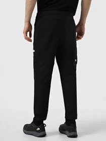 Брюки The North Face Lightning Convertible модель NF0A556P4H01 Фото