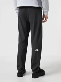 Брюки The North Face Speedlight Regular модель NF0A8BCA0C51 Фото