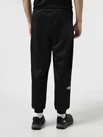 Брюки The North Face Reaxion Fleece модель NF0A8CNQJK31 Фото