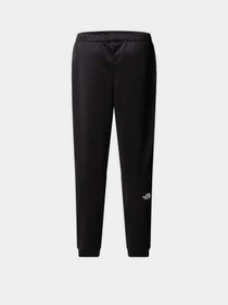Брюки The North Face Reaxion Fleece модель NF0A8CNQJK31 Фото