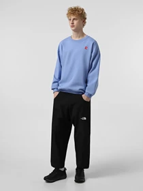 Брюки The North Face Nse модель NF0A8BJNJK31 Фото