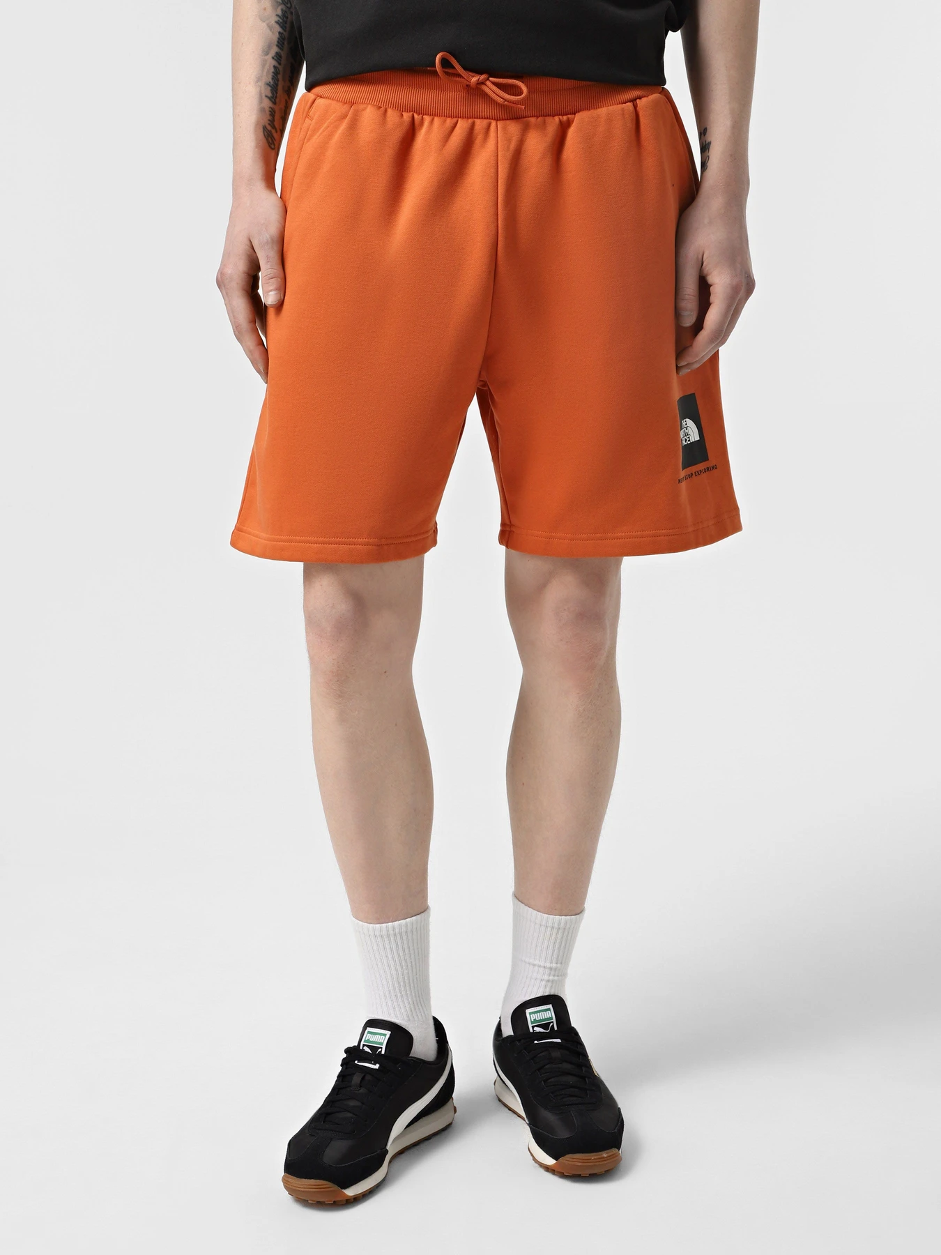 Шорты The North Face Box NSE модель NF0A8C1J6D21 Фото