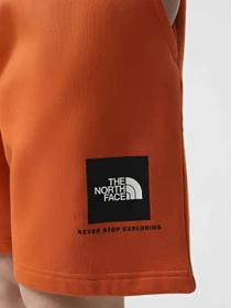 Шорты The North Face Box NSE модель NF0A8C1J6D21 Фото