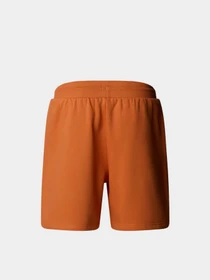Шорты The North Face Box NSE модель NF0A8C1J6D21 Фото