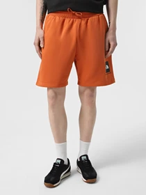 Шорты The North Face Box NSE модель NF0A8C1J6D21 Фото