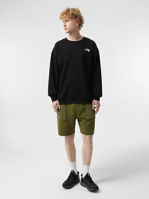 Шорты The North Face Terry модель NF0A8C29PIB1 Фото