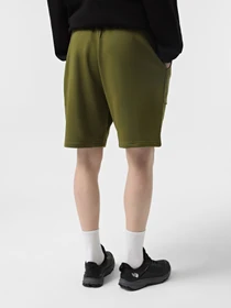 Шорты The North Face Terry модель NF0A8C29PIB1 Фото