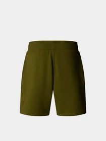 Шорты The North Face Terry модель NF0A8C29PIB1 Фото