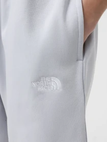 Шорты The North Face Essential модель NF0A8C2G0TI1 Фото