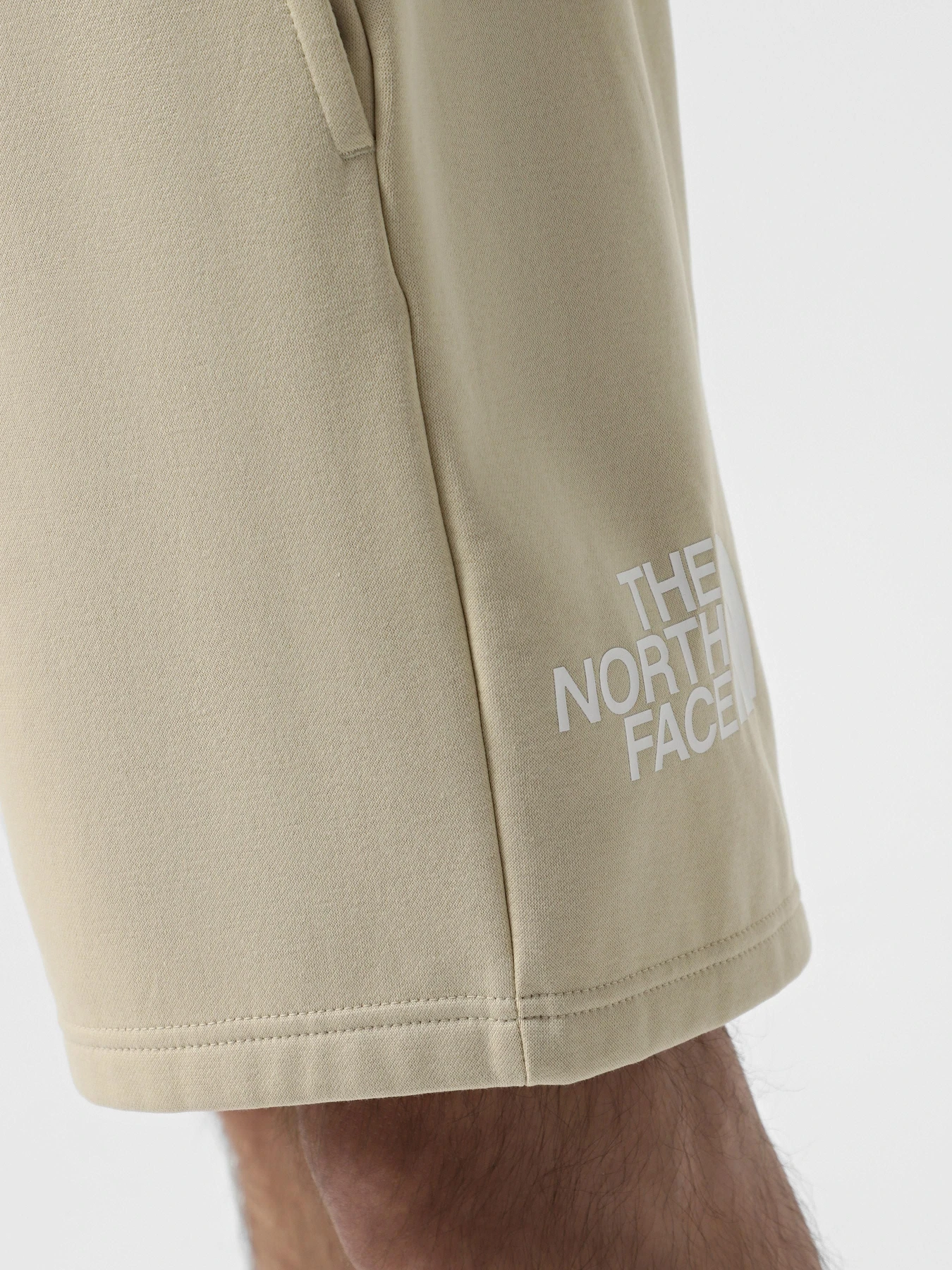Шорты The North Face Easy модель NF0A8C2S3X41 Фото
