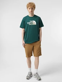 Шорты The North Face Tanken модель NF0A2S851731 Фото