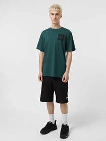 Шорты The North Face Resolve модель NF0A556V4H01 Фото