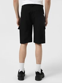 Шорты The North Face Horizon модель NF0A824D4H01 Фото