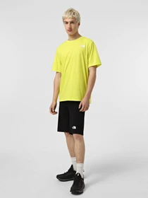 Шорты The North Face Speedlight Slim Tapered модель NF0A82694H01 Фото
