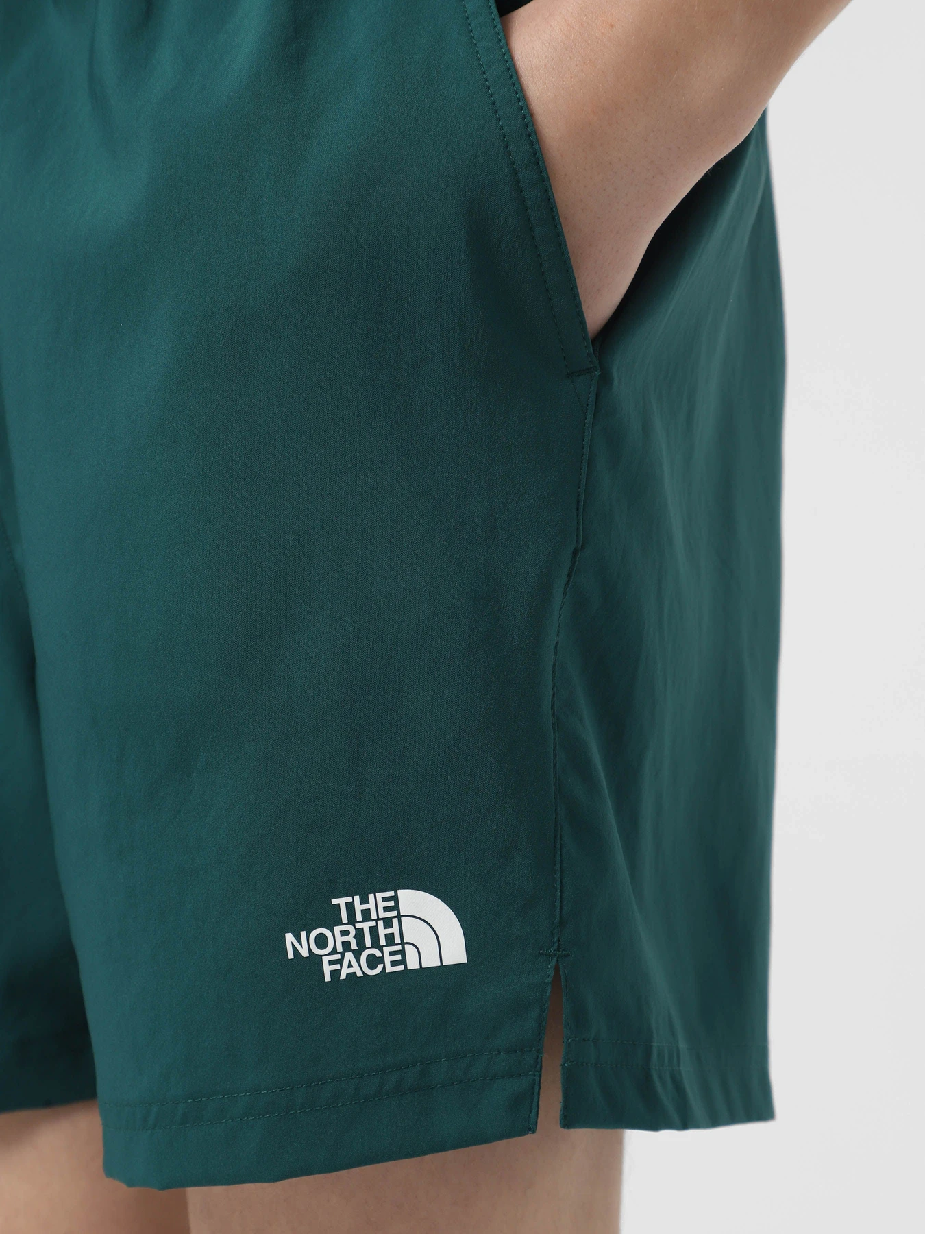 Шорты The North Face 24/7 5'' модель NF0A882D6GI1 Шорты The North Face 24/7 5'' модель NF0A882D6GI1 Фото