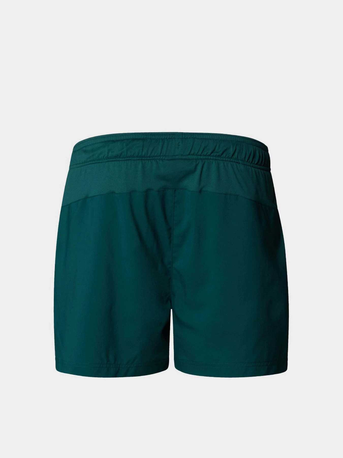 Шорты The North Face 24/7 5'' модель NF0A882D6GI1 Шорты The North Face 24/7 5'' модель NF0A882D6GI1 Фото