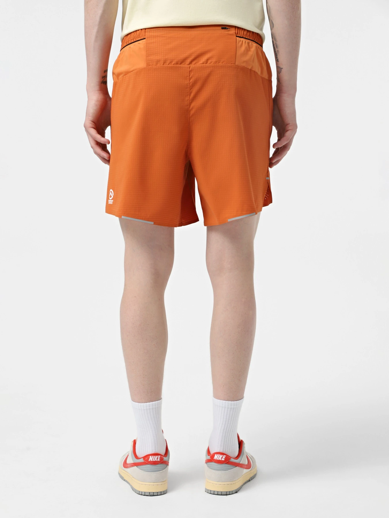 Шорты The North Face Summit Pacesetter 7in модель NF0A8BB55N51 Шорты The North Face Summit Pacesetter 7in модель NF0A8BB55N51 Фото