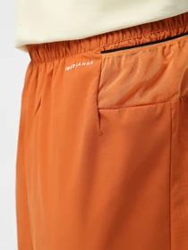 Шорты The North Face Summit Pacesetter 7in модель NF0A8BB55N51 Фото