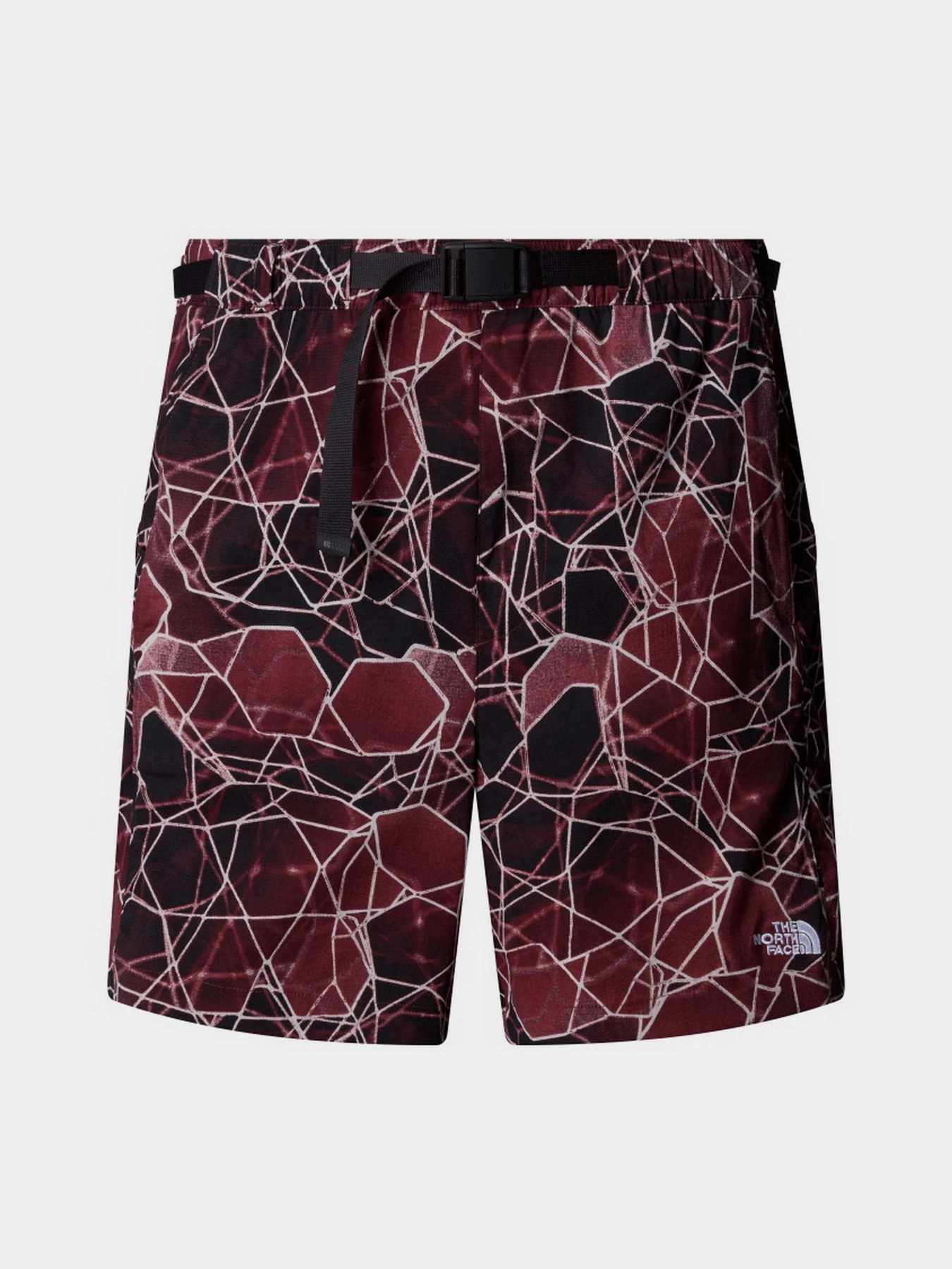 Шорты The North Face Class V Pathfinder Belted модель NF0A8BHV61G1 Шорты The North Face Class V Pathfinder Belted модель NF0A8BHV61G1 Фото