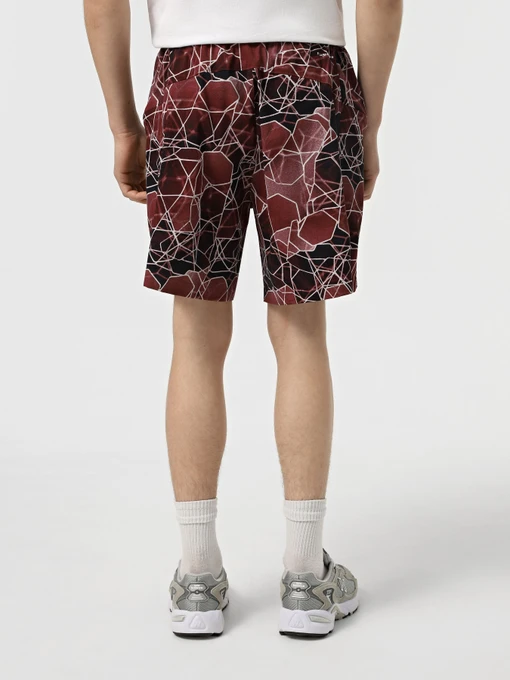 Чоловічі Спортивні шорти The North Face Class V Pathfinder Belted фото 3