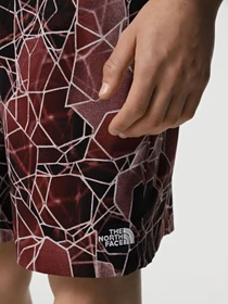 Шорты The North Face Class V Pathfinder Belted модель NF0A8BHV61G1 Фото