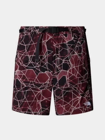 Шорты The North Face Class V Pathfinder Belted модель NF0A8BHV61G1 Фото