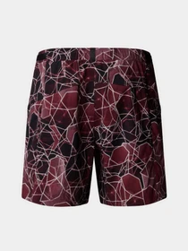 Шорты The North Face Class V Pathfinder Belted модель NF0A8BHV61G1 Фото