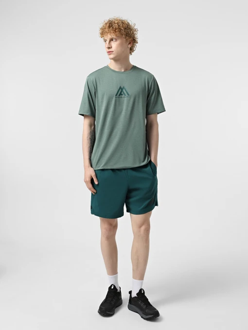 Чоловічі Спортивні шорти The North Face 24/7 7in Shorts Graphic фото 2