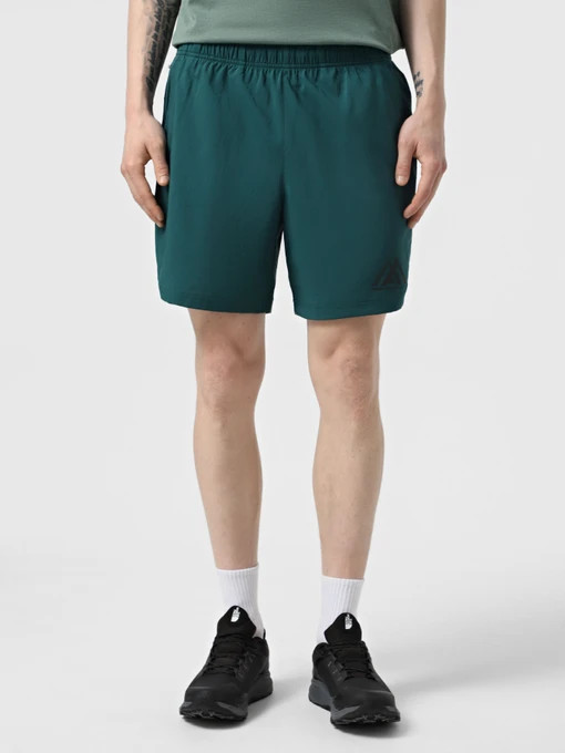 Шорты The North Face 24/7 7in Shorts Graphic модель NF0A8BP66GI1 Фото