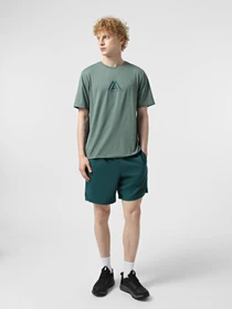 Шорты The North Face 24/7 7in Shorts Graphic модель NF0A8BP66GI1 Фото