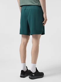 Шорты The North Face 24/7 7in Shorts Graphic модель NF0A8BP66GI1 Фото