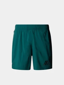 Шорты The North Face 24/7 7in Shorts Graphic модель NF0A8BP66GI1 Фото