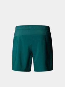 Шорты The North Face 24/7 7in Shorts Graphic модель NF0A8BP66GI1 Фото