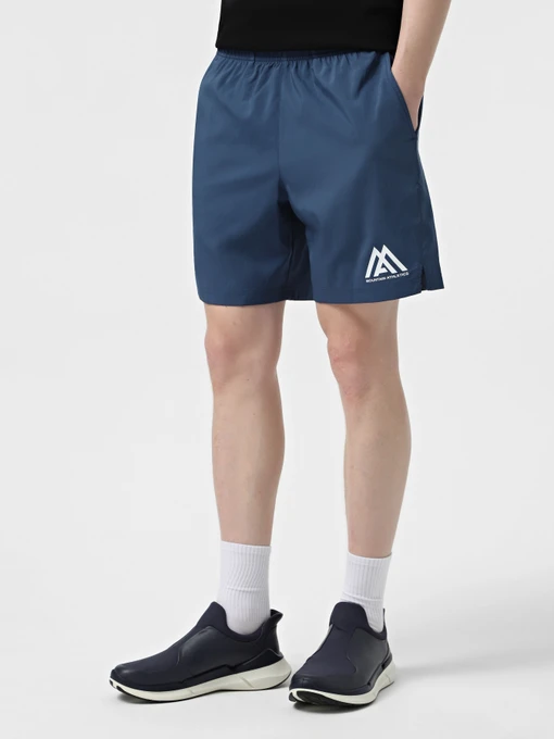Шорты The North Face 24/7 7in Shorts Graphic модель NF0A8BP6HDC1 Фото