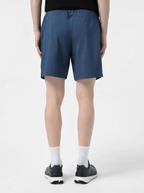 Шорты The North Face 24/7 7in Shorts Graphic модель NF0A8BP6HDC1 Фото