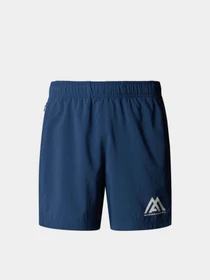 Шорты The North Face 24/7 7in Shorts Graphic модель NF0A8BP6HDC1 Фото