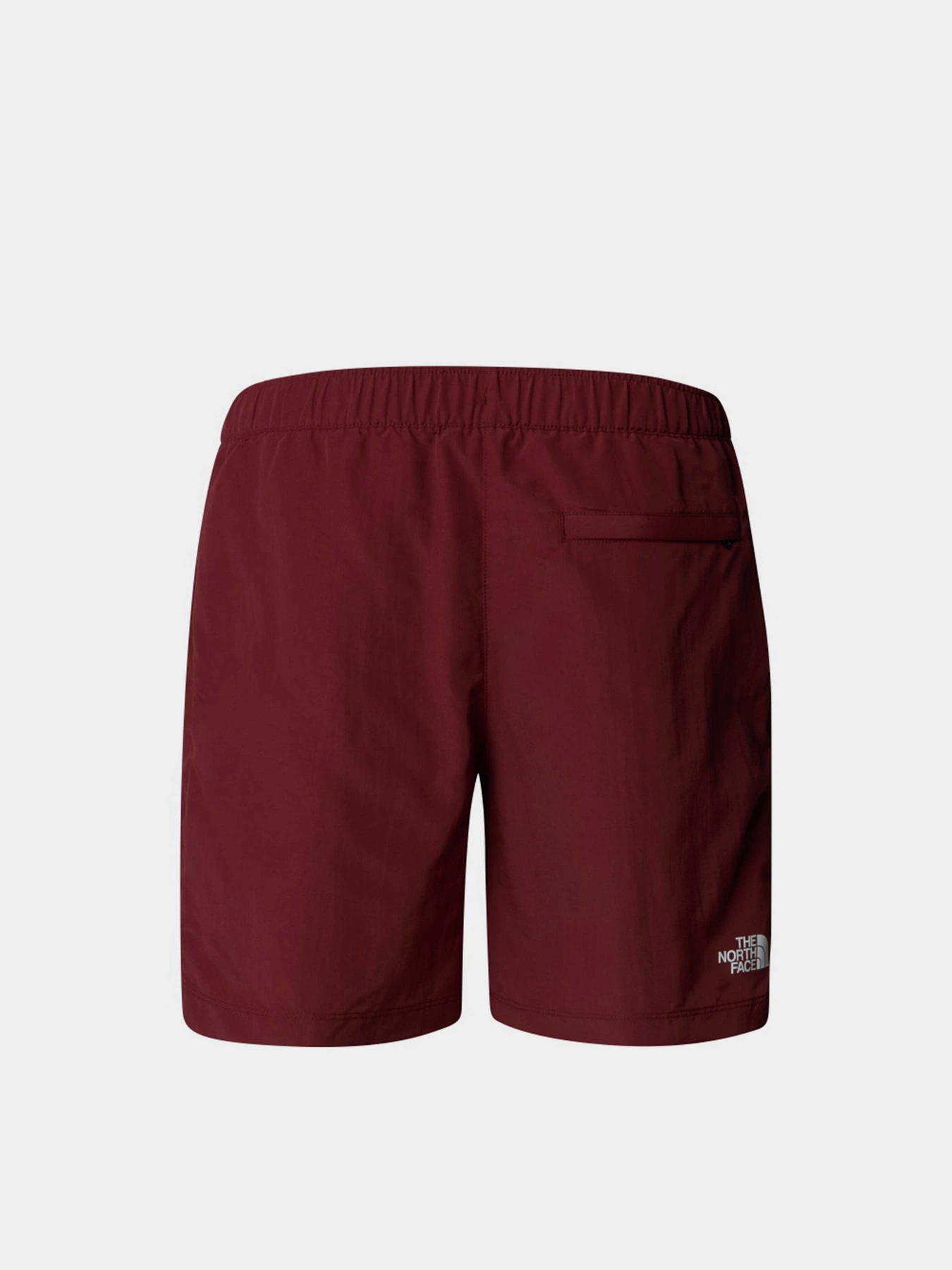 Шорты The North Face Water Short модель NF0A5IG50VO1 Шорты The North Face Water Short модель NF0A5IG50VO1 Фото
