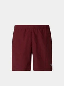 Шорты The North Face Water Short модель NF0A5IG50VO1 Фото
