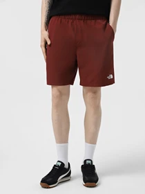 Шорты The North Face Water Short модель NF0A5IG50VO1 Фото