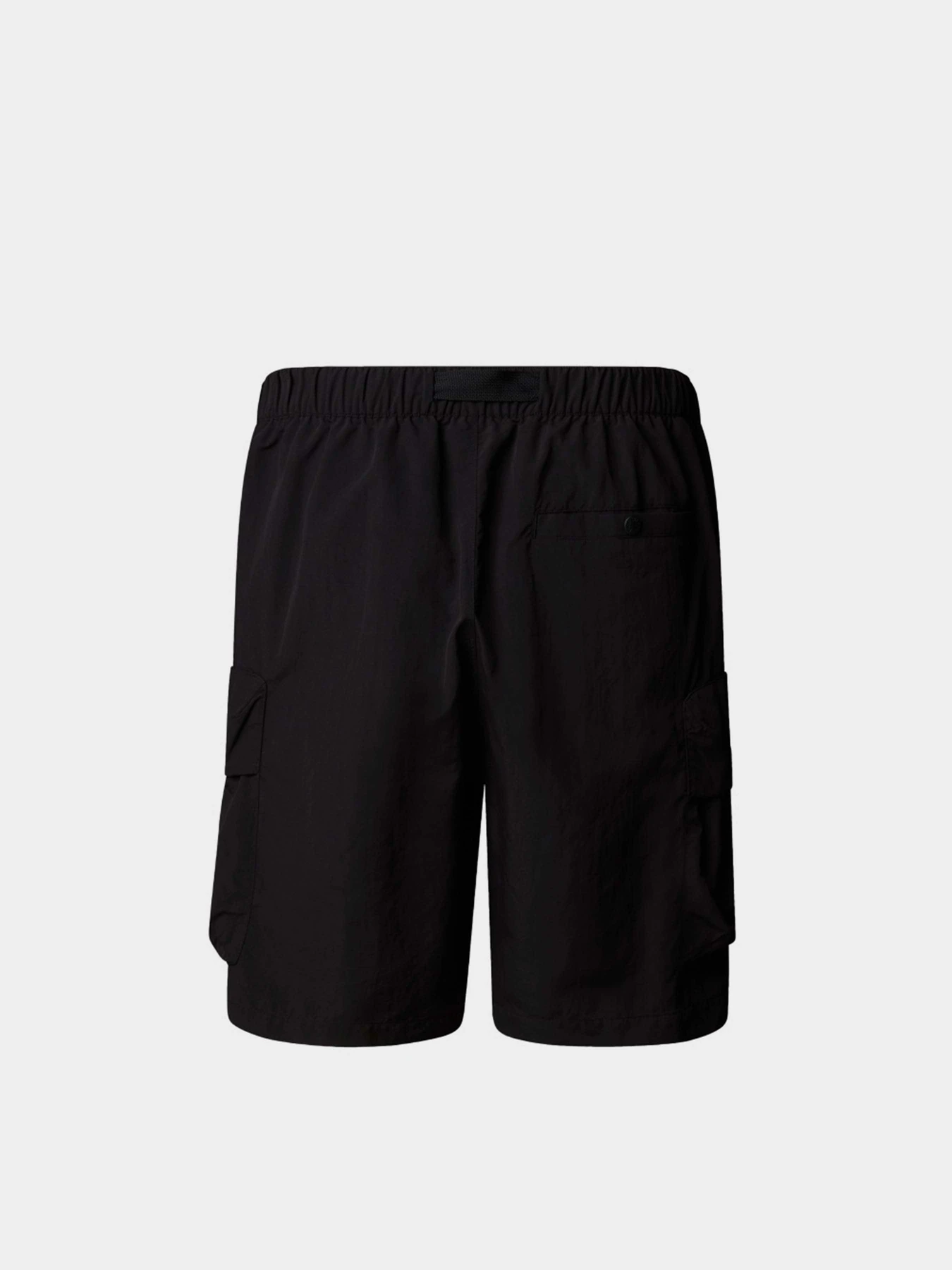 Шорты The North Face Cargo Pocket Short модель NF0A8BJGJK31 Фото