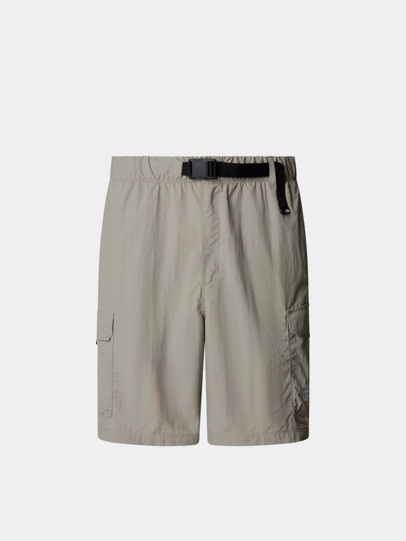 Шорты The North Face NSE модель NF0A8BJM1I41 Фото
