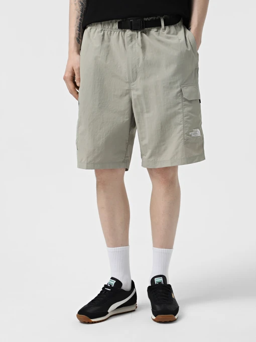 Шорты The North Face NSE модель NF0A8BJM1I41 Фото