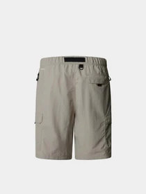 Шорты The North Face NSE модель NF0A8BJM1I41 Фото
