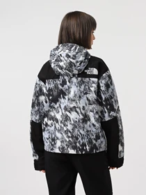 Куртки и дубленки The North Face Dryvent Mono Mountain модель NF0A88YX8T01 Фото