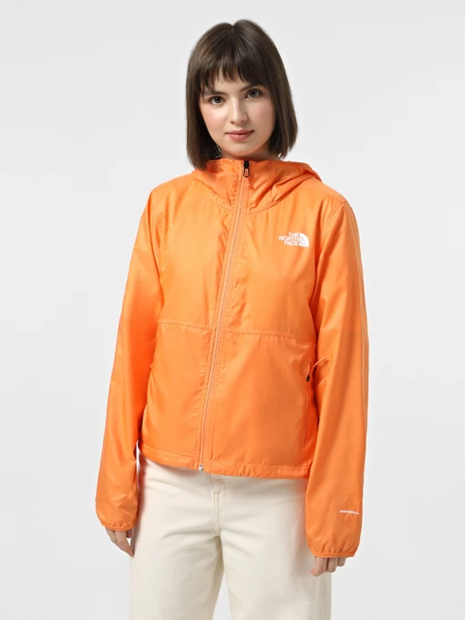 Куртки и дубленки The North Face Cyclone Wind модель NF0A8B6G0TO1 Фото